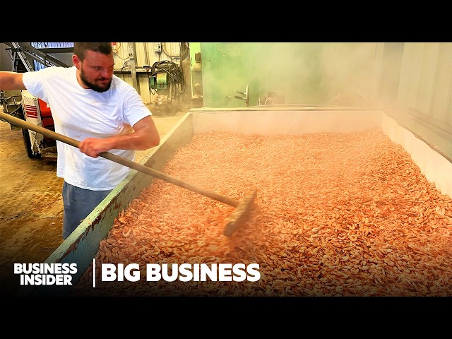 Why Louisiana's $1.3 Billion Shrimp Industry Could Go Extinct | Big Business | Business Insider