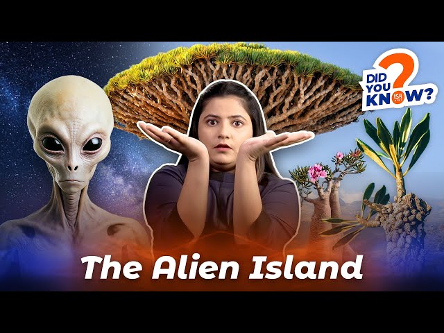 Socotra - the Alien Island | Did You Know | ISH News