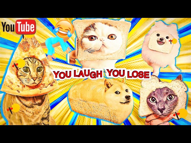 Funny Cats 😹 And Dogs 🐶 Videos #3 | Try Not To Laugh Challenge | Funny Baby And Pet