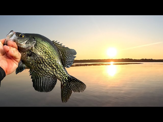 Morning Jigging St. John's River for Crappie & Warmouth Bass