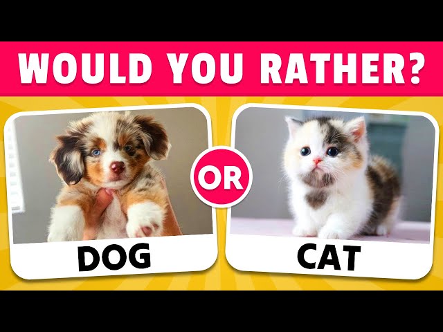 Would You Rather...? Animals Edition 🐶🐈‍⬛