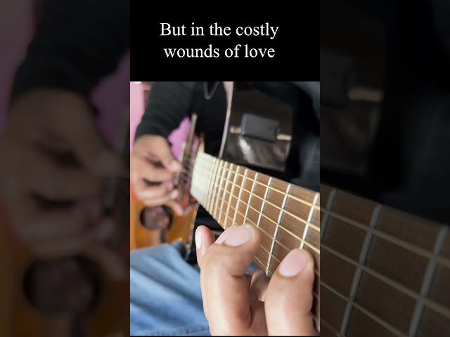 My Worth Is Not in What I Own 🎸  #guitar #fingerstyle #guitarcover #guitarmusic  #myworth  #cover