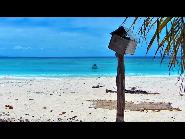 Bula Fiji - Inselalltag in der Südsee (FULL LENGTH WITH ENGLISH SUBTITLES)