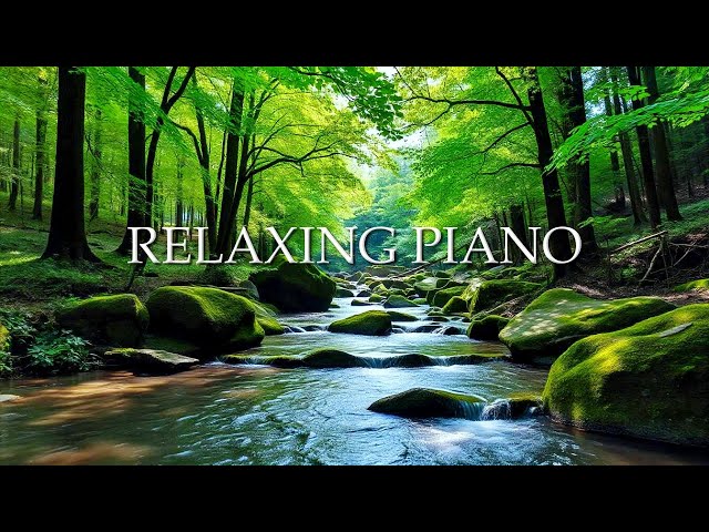 Relaxing Forest Water Sounds for Sleep, Meditation & Stress Relief | Nature Sounds