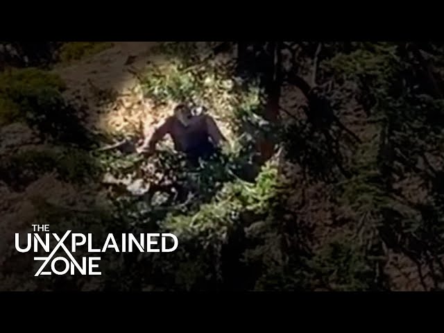 Top 4 Most Shocking Bigfoot Sightings You Need to See Compilation | The Proof Is Out There