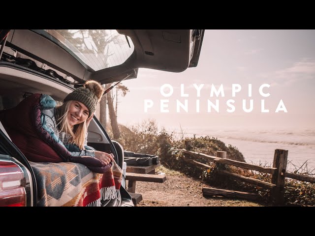 My Solo Camping Trip to the Olympic Peninsula | SUV Camper Series