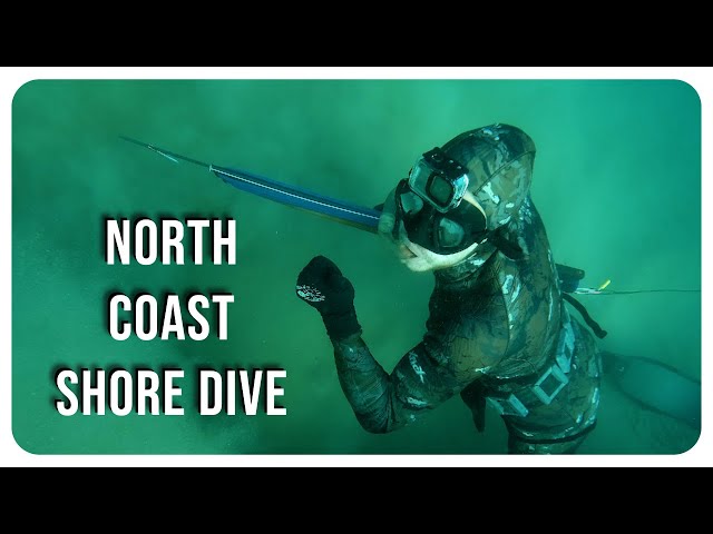 Rob Allen | Diving the North Coast | 2024