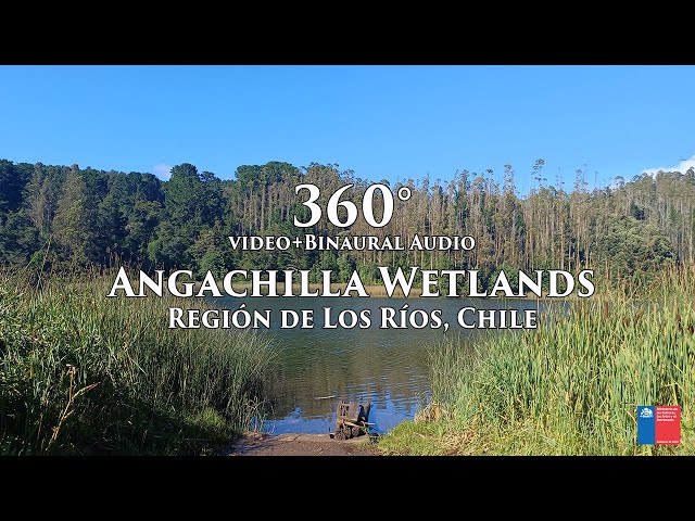 360 View Angachilla Wetlands