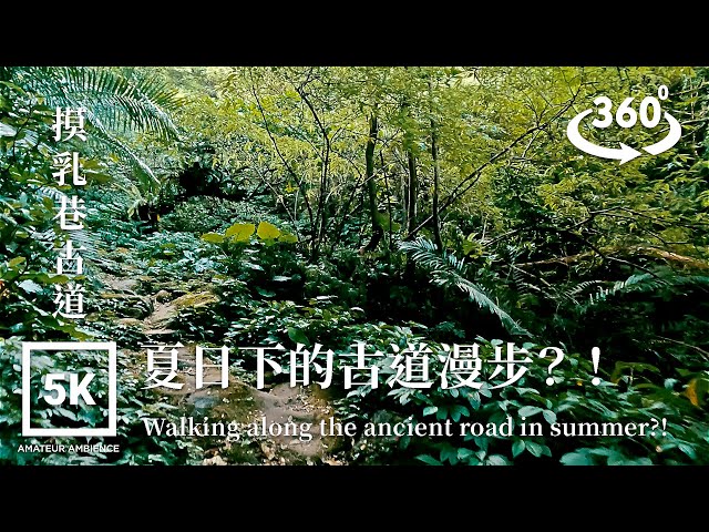 5K 360 VR Taiwan Walk石碇摸乳巷步道Shiding Moru Lane Ancient Trail Asmr Amateur Ambience Built Environment