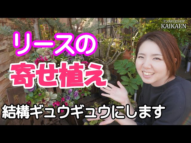 リースの寄せ植え　葉牡丹　ビオラ　ガーデンシクラメン　使って　【おうちでガーデニング】開花園チャンネル