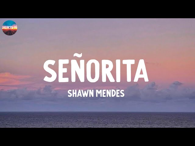 Señorita - Shawn Mendes (Lyrics)