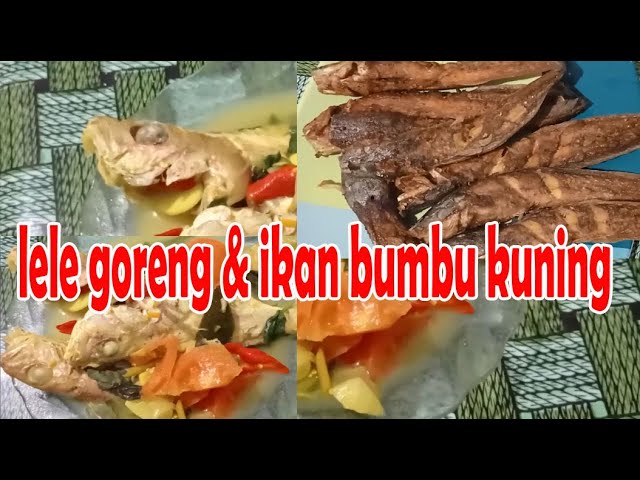 Resep Masakan LELE GORENG DAN IKAN BUMBU KUNING | Resep Sederhana Sehari - Hari | Resep Nusantara