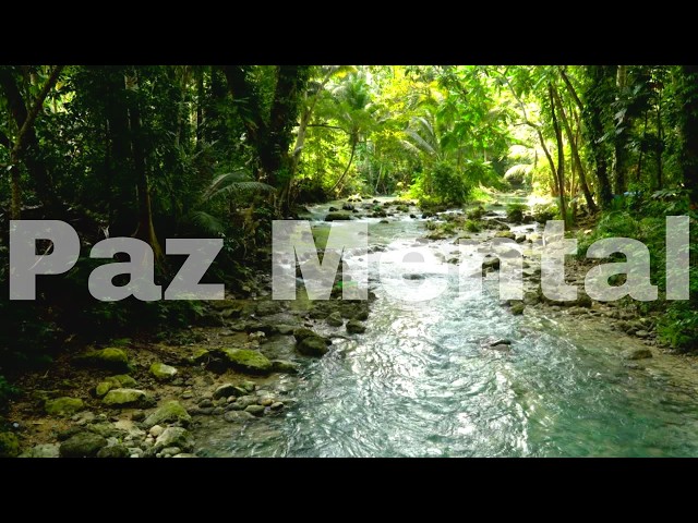 Inexplicável Paz, Bençãos e Cura | Musica e Sons da Natureza🌳🌿🍃 Para Dormir #1