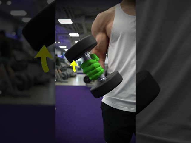 Dumbbell Bicep Curl Variations (KNOW THE DIFFERENCE!)