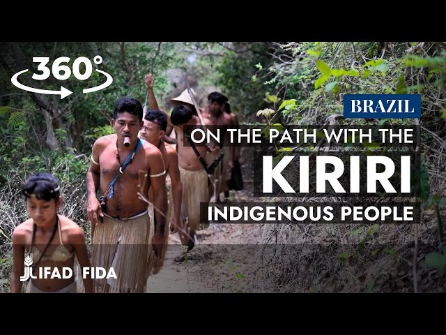 Brazil in 360: the root reviving the Kiriri People's livelihood