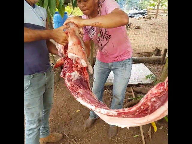 Porco pro feriado , já tá na mão