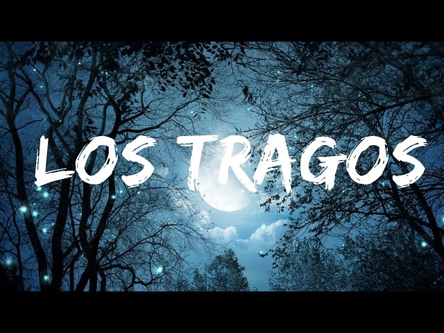 Reik, Maria Becerra - Los Tragos | 1hour Lyrics