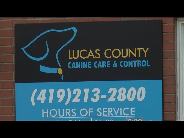 Lucas County dog shelter volunteer program reinstated