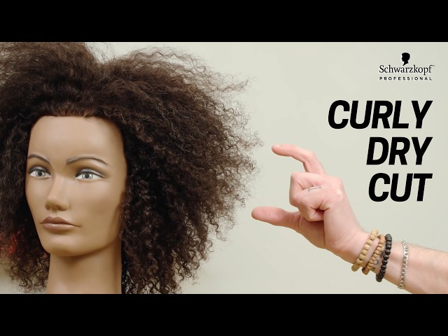 How to Point Cut Textured, Curly Hair