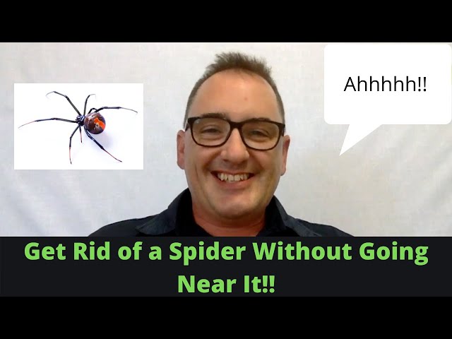 Get rid of spiders without going near it!