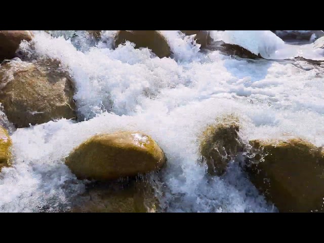 Relaxing Sounds of a Mountain Stream – Nature ASMR