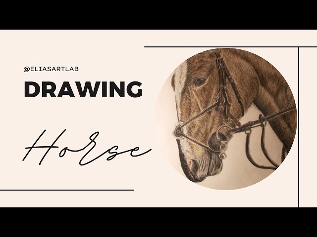 Drawing a horse | Timelaps | Elias Art Lab