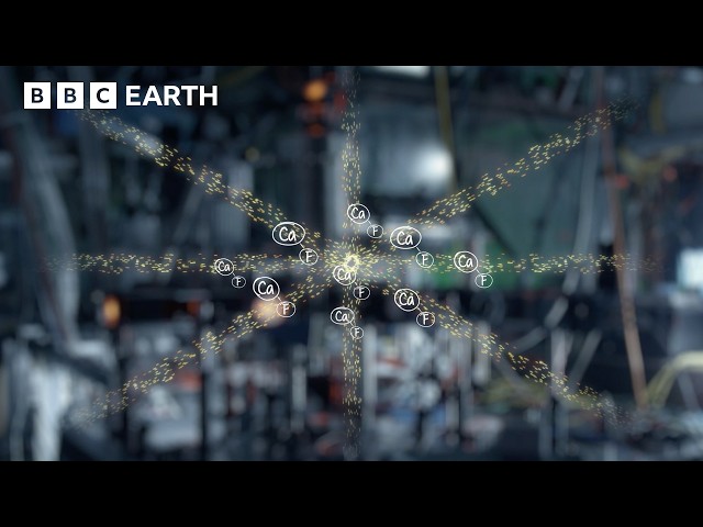 How Do We Find Absolute Zero? | BBC Earth Science