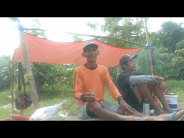 mancing kali ini sungguh syahdu dapat banyak ikan