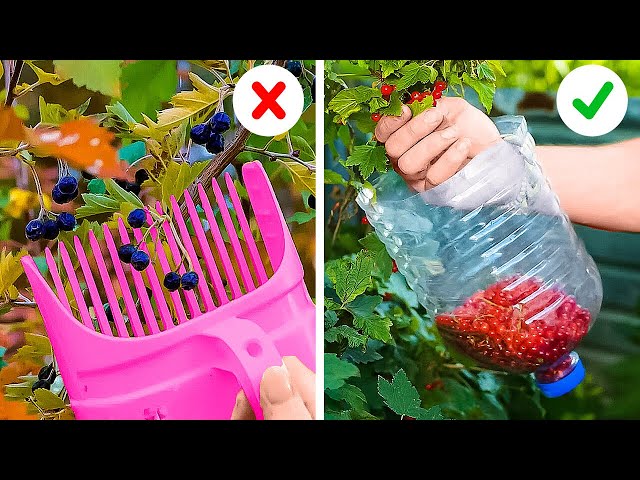 Gardening Crafts To Make Growing Fruits And Vegetables A Breeze