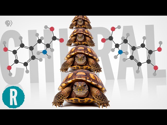 The Chirality Paradox