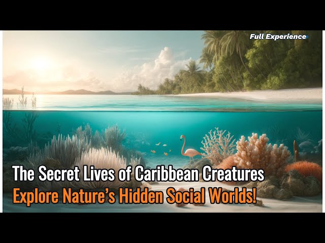 The Incredible Social Lives of Caribbean Creatures You’ve Never Seen Before – Full Experience