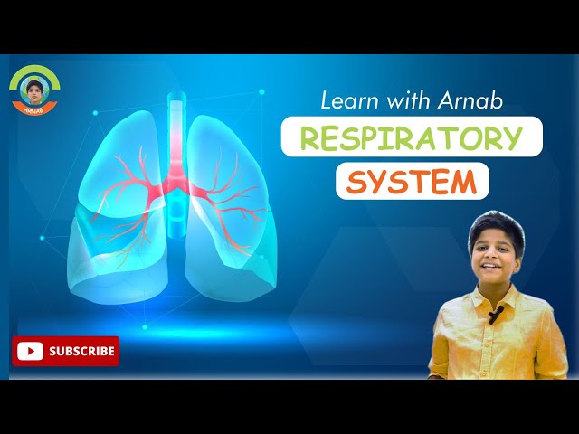 "Discover the Respiratory System: Kid-Friendly Science Guide"