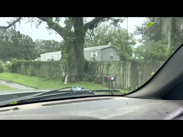 Driving through the aftermath in our neighborhood. Hurricane Ian 9/29/2022