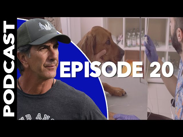 When to Put a Dog Down for Aggression - Reactive Dog Training Video Podcast Episode 20