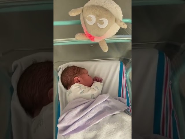 Ewan the sheep gently shushing newborn baby back to sleep 😴