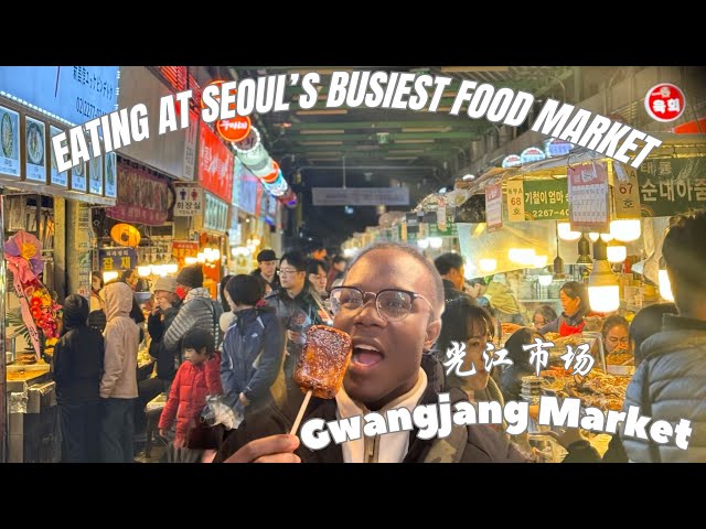 Seoul FOOD ADVENTURE in Kwangjang Market and MORE!