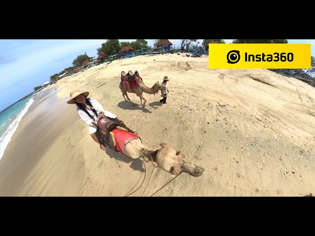 Test Footage - Insta360 One X3 - Camel Ride in Bali Indonesia