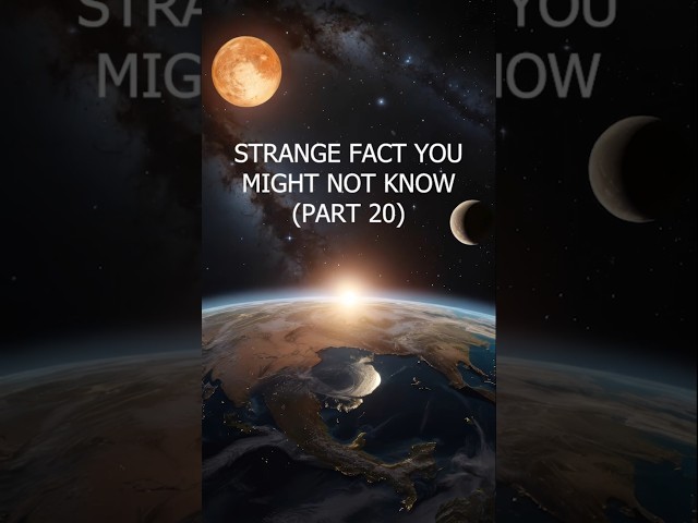 A strange fact you might not know - Part 20 #shorts #fyp #strangefacts  #mindblowingfacts