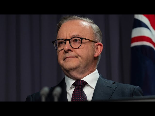 ‘Absolutely terrifying’: Anthony Albanese’s misinformation bill slammed