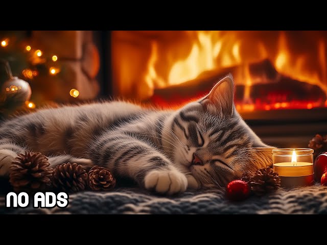 Calming music for cats with anxiety 🎵 Cozy ambience winter rest with piano music | Fireplace No Ads