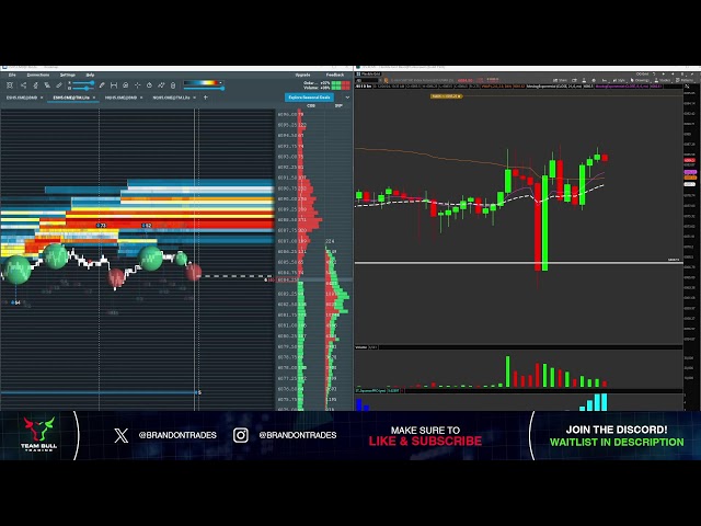 Live Day Trading