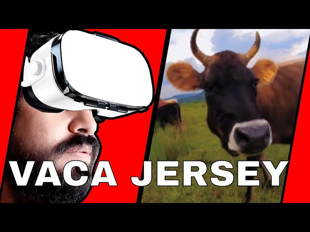 Vacas en realidad virtual | VR Experience #52