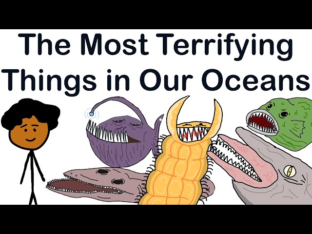 The Most Terrifying Things in Our Oceans