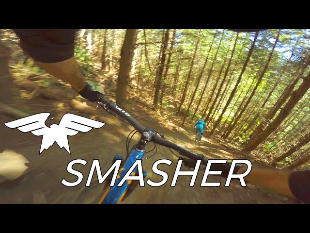 All Killer No Filler - Smasher - Nelson, New Zealand