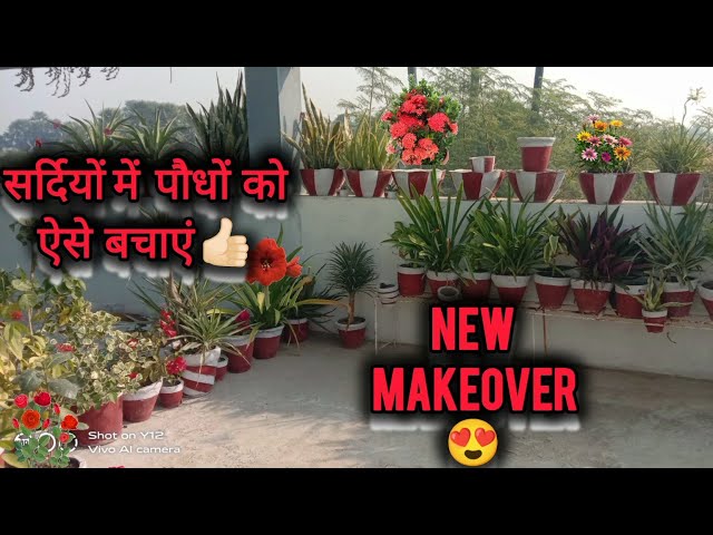 Garden 🏡 ka NEW MAKEOVER 🤩 सर्दियों में पौधों को ऐसे करदे Arrange 👍🏻 धमाकेदार वीडियो 🔥