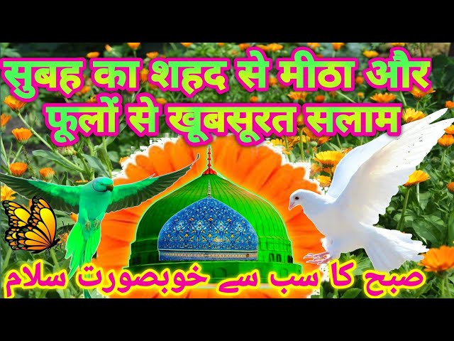 salat o salam Mustafa ﷺ Jaan e rehmat pe lakhun Salam  सुबह का शहद से मीठा और फूलों से खूबसूरत सलाम