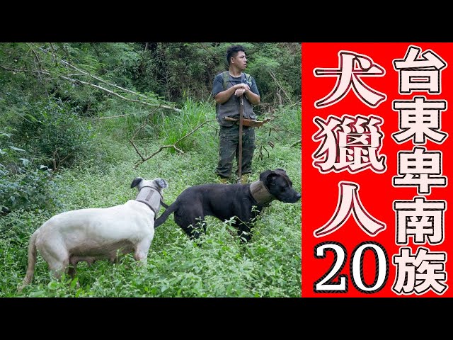 原住民狩獵!當獵犬不見時就開始緊張|台東卑南犬獵人全紀錄20集|厭世奶爸