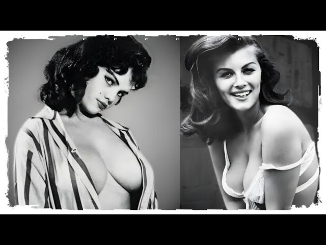 GLAMOROUS BEAUTIES IN TIMELESS STOCKINGS | ICONIC HISTORICAL PHOTOS & UNCOVERING ELEGANT PHOTOGRAPHS