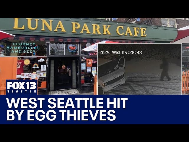 West Seattle cafe hit by egg thieves | FOX 13 Seattle