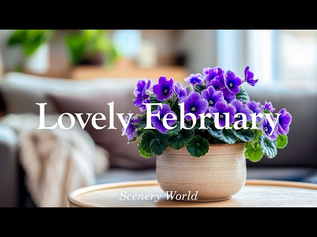 Warm and Sweet Piano Melodies for February - Lovely February | Scenery World